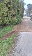 Dolnja Košana (4)